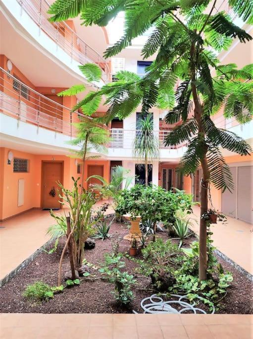 Apartment In Playa San Juan, Casa Greg エクステリア 写真